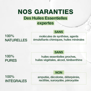 Pranarom - Huile Essentielle de Lavande vraie - Bio - 10 ml