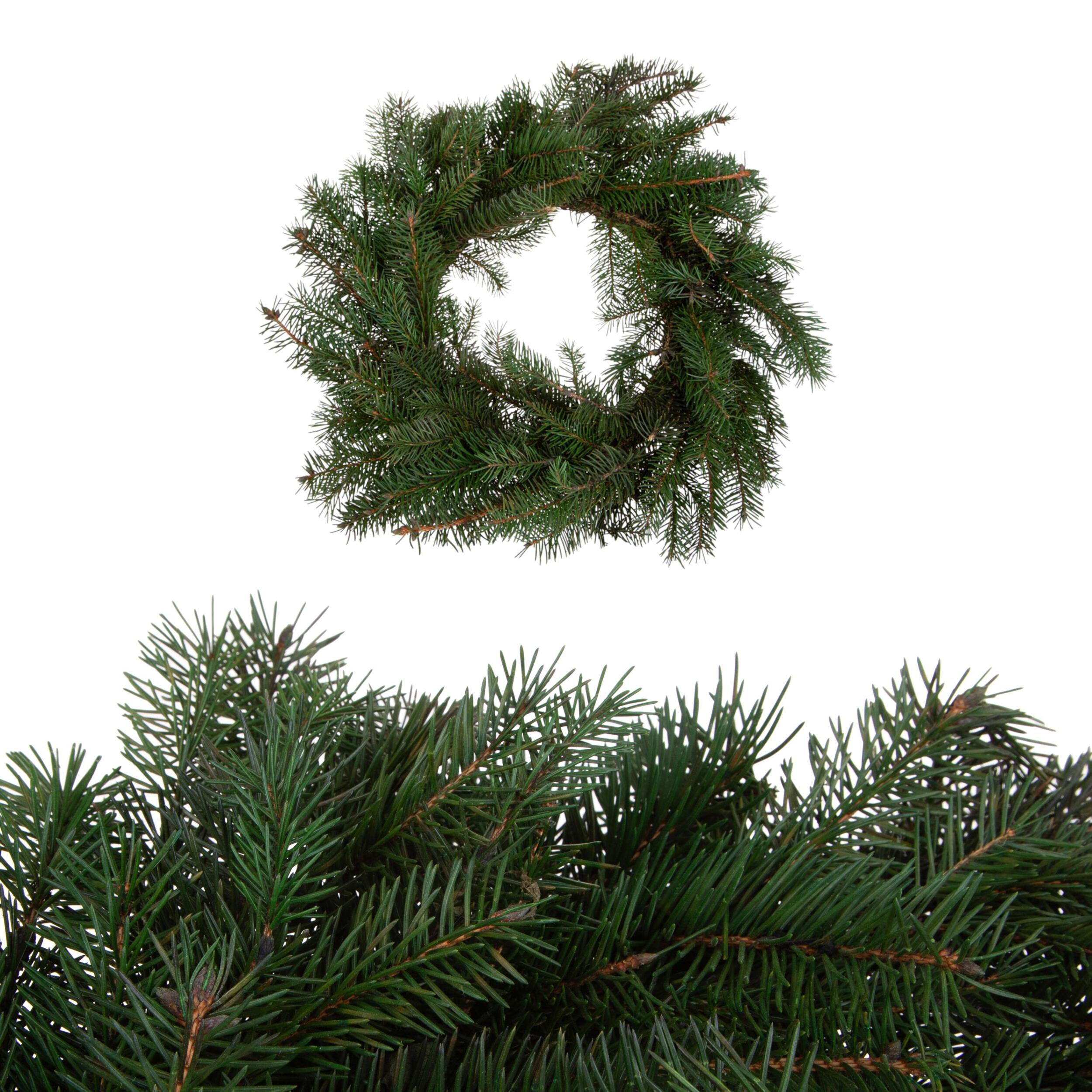 Corona preservata - Pezzi 1 - Verde - 40XH5X40cm - Bianchi Dino