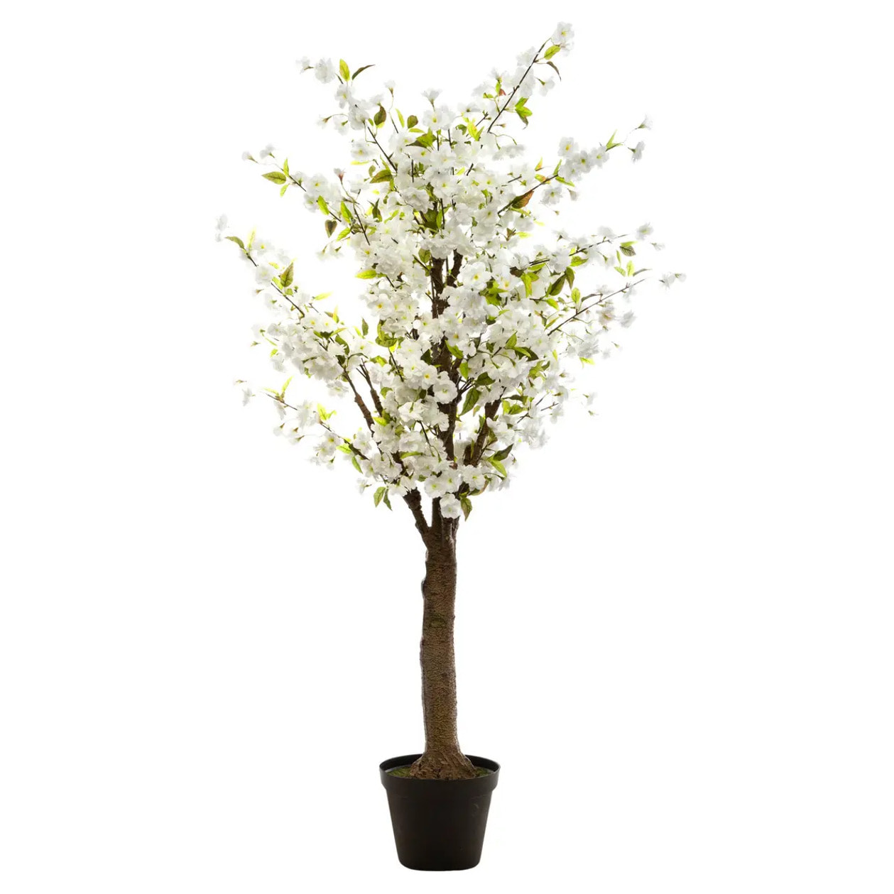 Cerisier blanc artificiel blanc H200cm