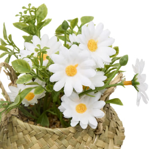 Composition de Marguerites Tifi H17cm