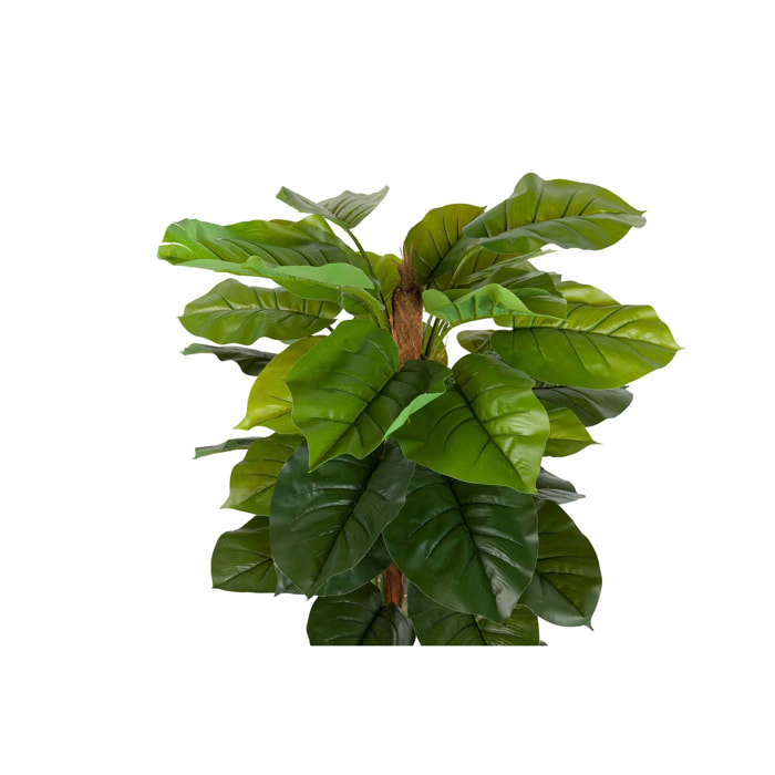 Planta Artificial Rhadhidophora Aureum 65x65x140 Cm