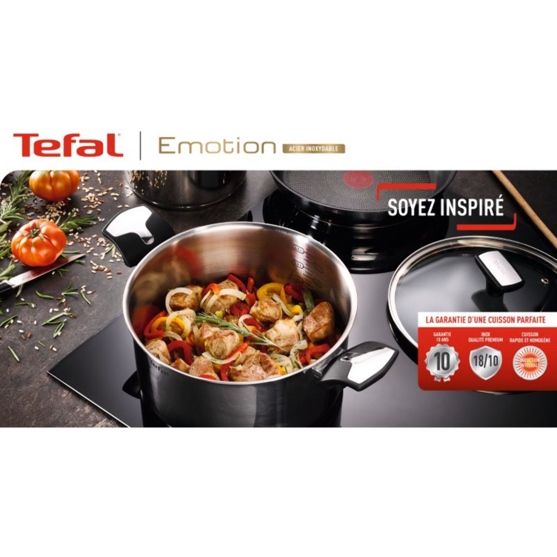 Marmite TEFAL Emotion 28cm avec couvercle E3016404