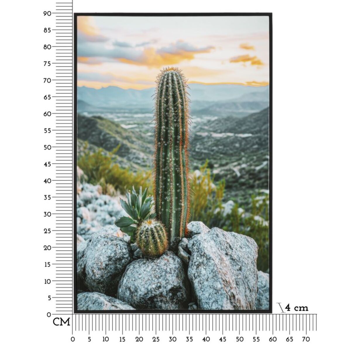 STAMPA SU TELA LACCATA C/CORNICE CACTUS -A- CM 60X4X90