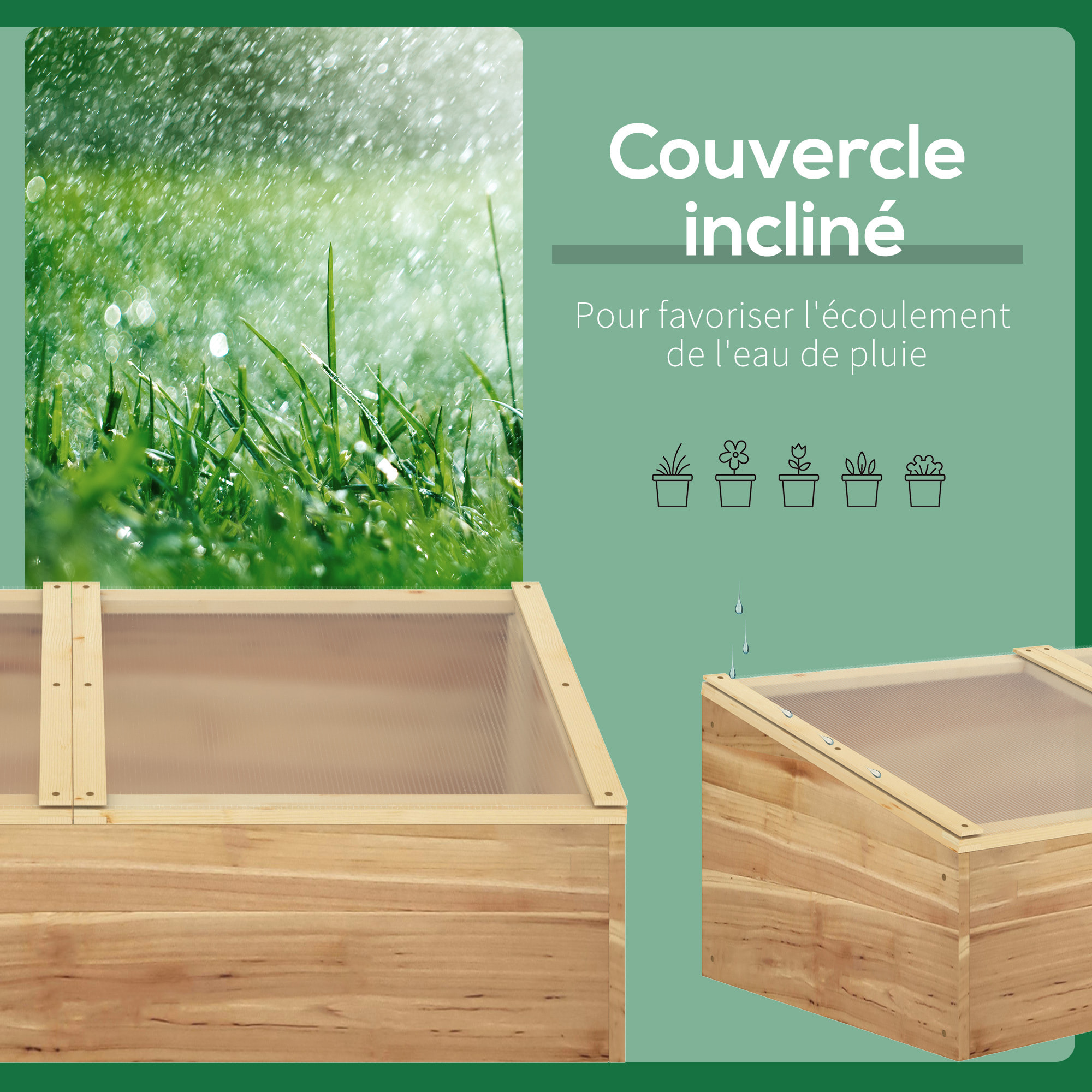 Mini serre de jardin serre pour semis dim. 100L x 50l x 36H cm toit 2 pans ouvrables séparement panneaux de polycarbonate bois sapin pré-huilé