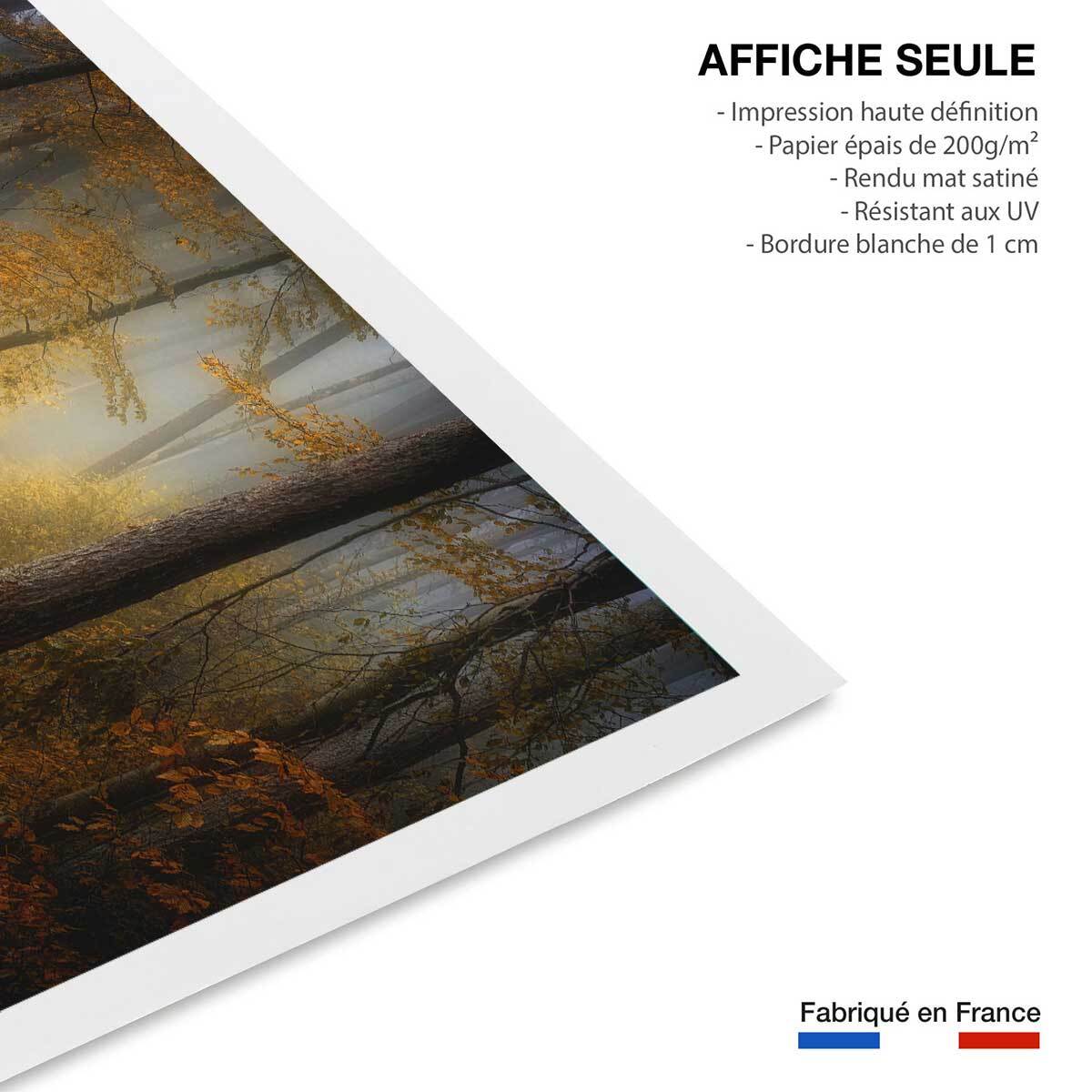 Affiche l'arbre et l'automne rouge Affiche seule