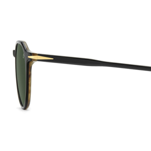 Gafas de Sol David Beckham DB 1217/S PPO de Acetato Hombre 50 mm