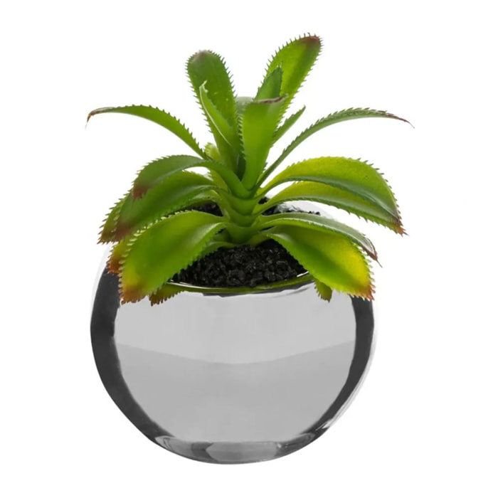 Plante verte pot céramique H.15