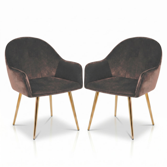 Set 2 poltrone in velluto con gambe oro, sedie imbottite design elegante e moderno, struttura in legno con schienale e seduta confortevoli, rivestimento effetto velluto morbido, ideali per soggiorno camera e ufficio, stile raffinato