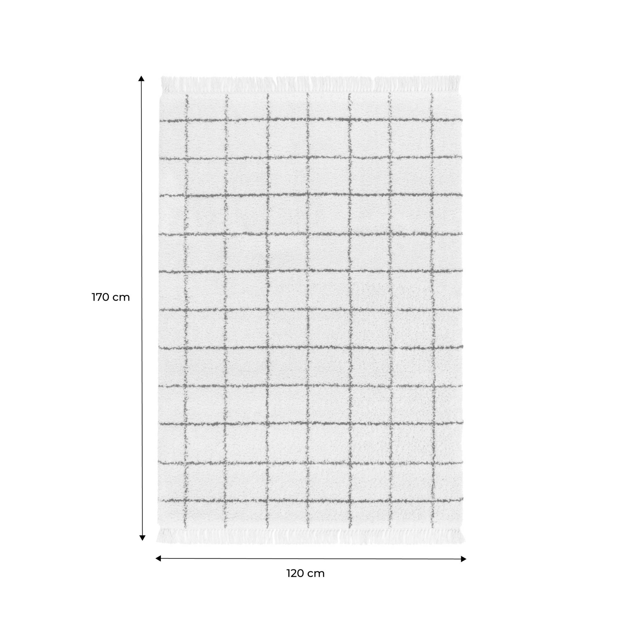 Tapis intérieur shaggy motif quadrillage multicolore avec franges Edward 120x170cm