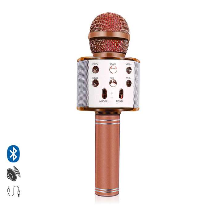 Microfono Karaoke multifunzione con altoparlante integrato