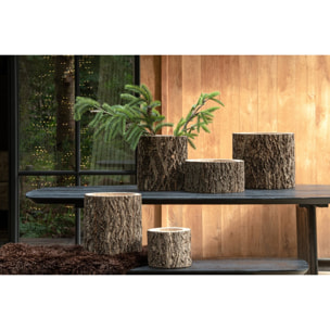 J-Line Cachepot Tronc D’Arbre - bois de paulownia - naturel - small