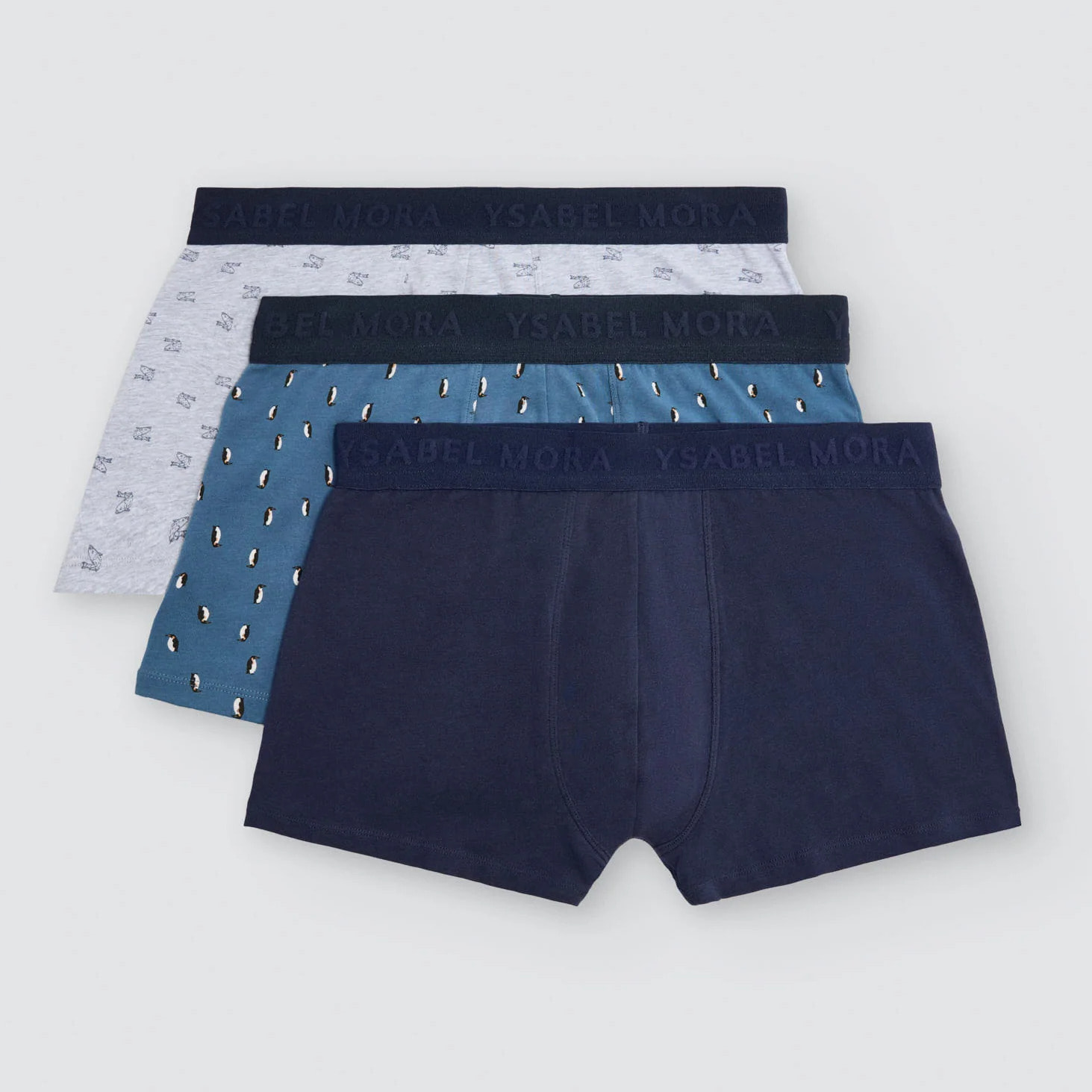 Boxer