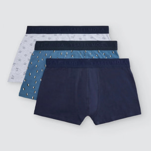 Boxer