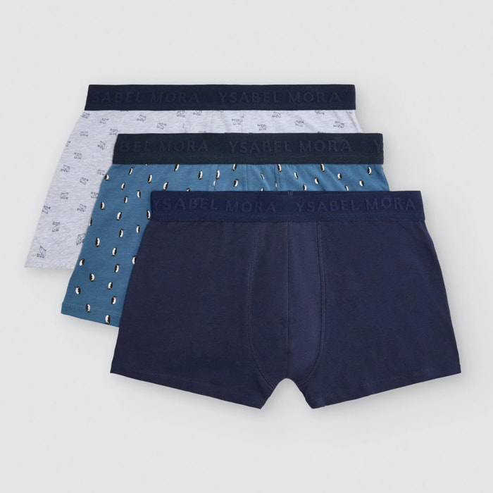 Boxer