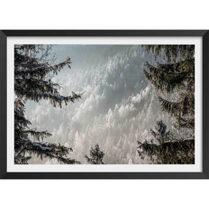 Affiche paysage forest in fog drama Affiche + cadre en bois - Noir