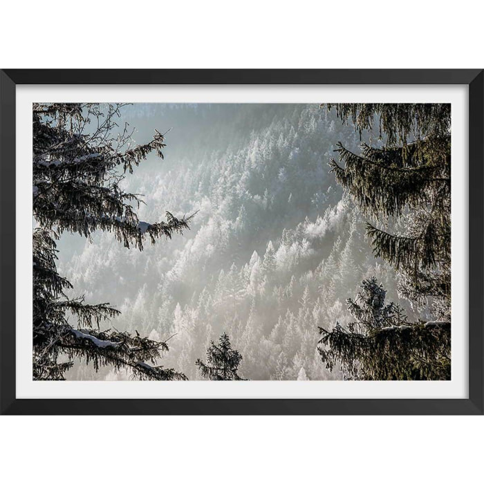 Affiche paysage forest in fog drama Affiche + cadre en bois - Noir