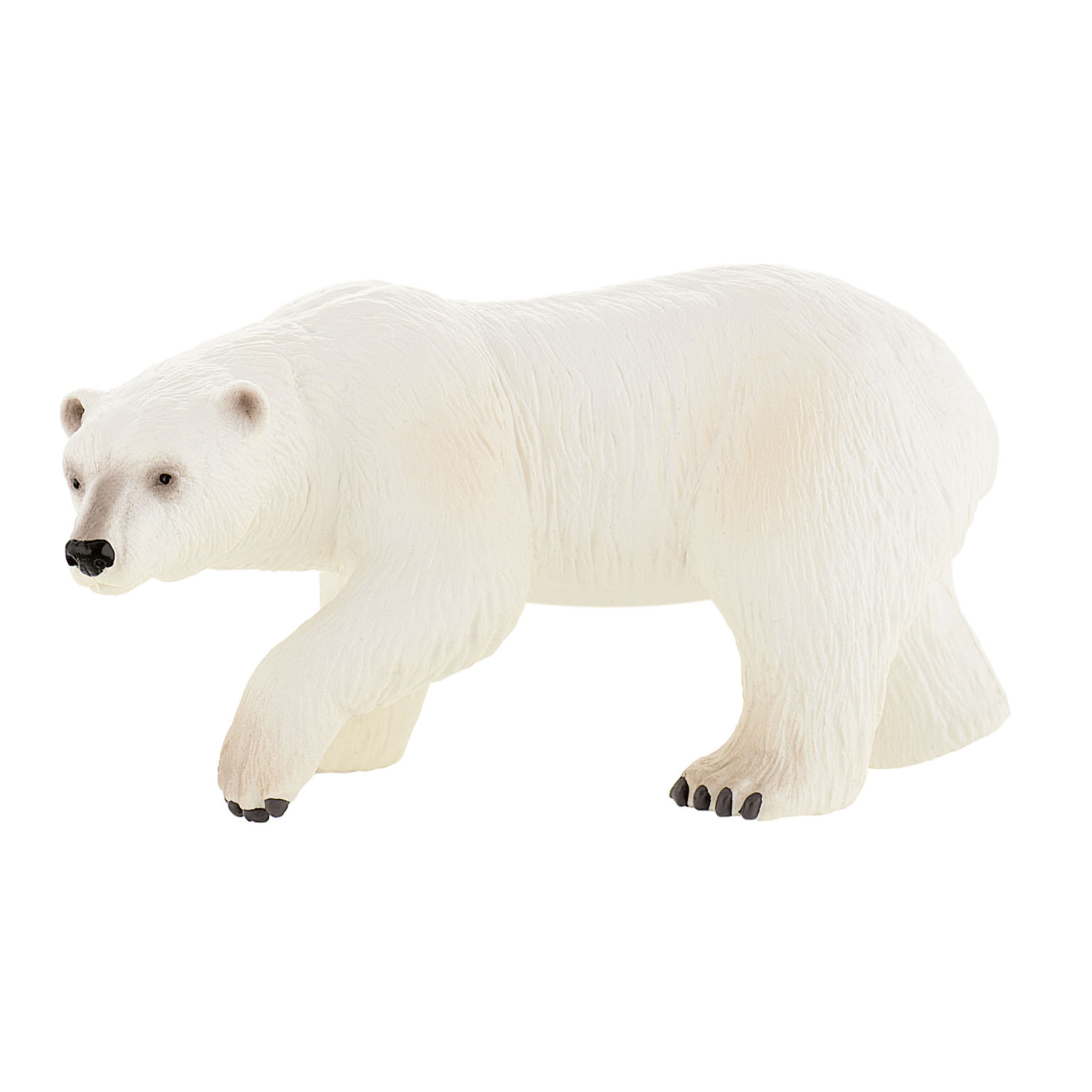 Mondo Marino/Orso Polare