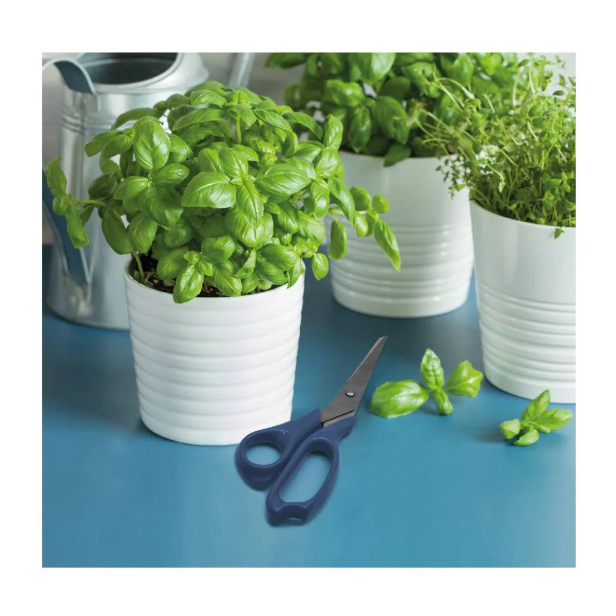 Ciseaux de cuisine Fackelmann Elemental