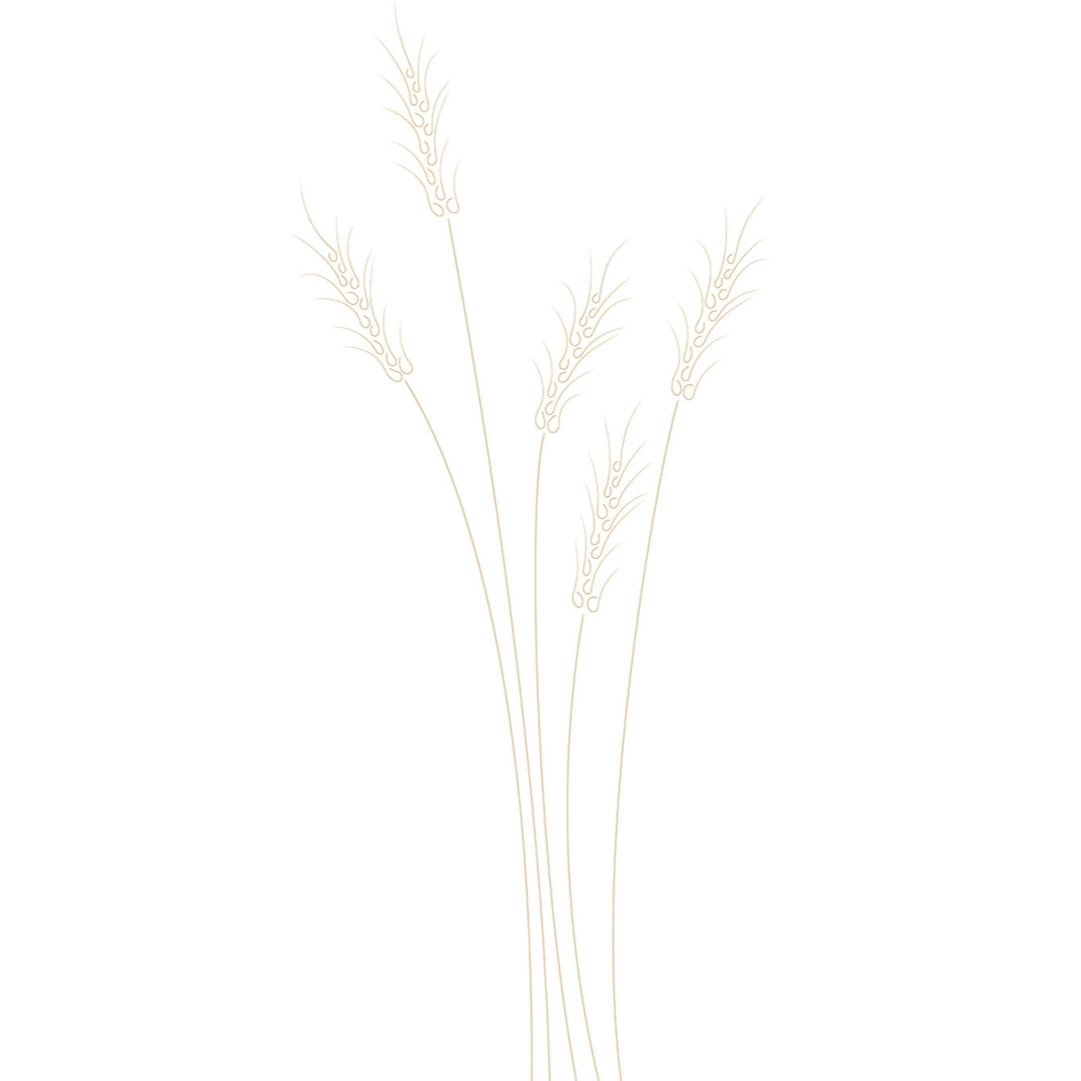 Tableau scandi blés Toile imprimée