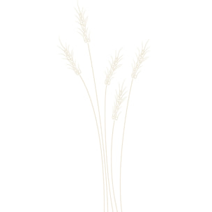 Tableau scandi blés Toile imprimée