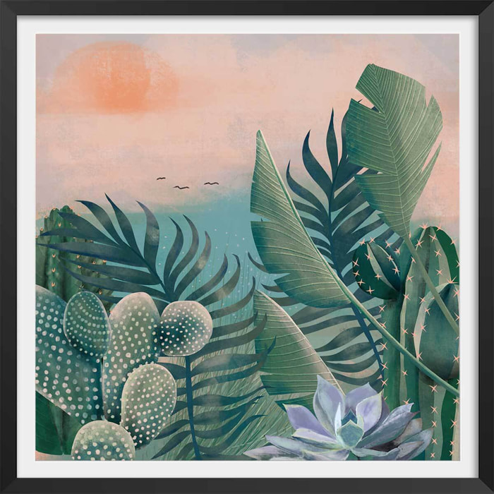 Affiche illustration jardin succulentes et cie Affiche sous cadre noir