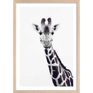 Affiche enfant girafe noire  Affiche + cadre en bois - Chêne