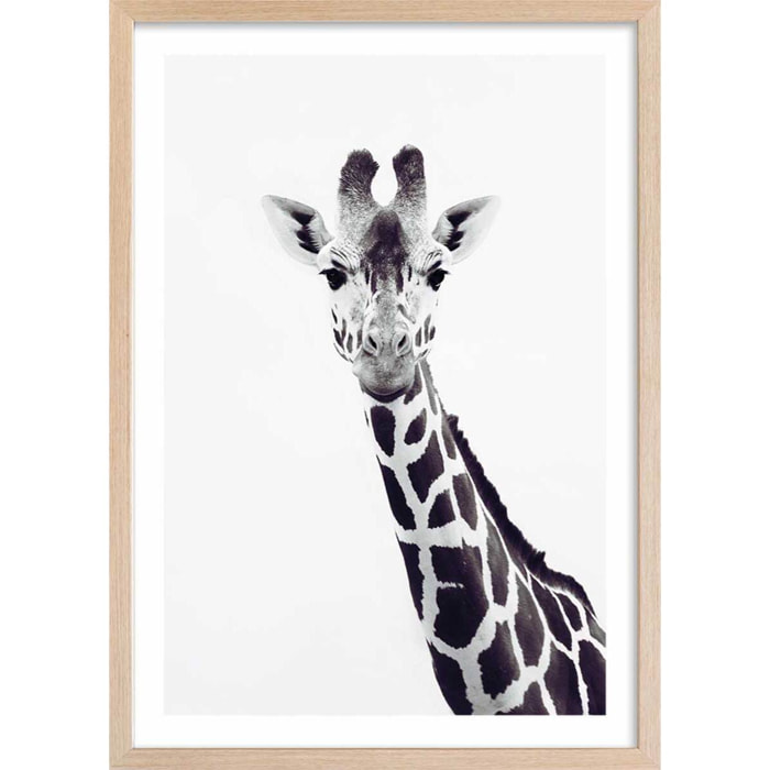 Affiche enfant girafe noire  Affiche + cadre en bois - Chêne