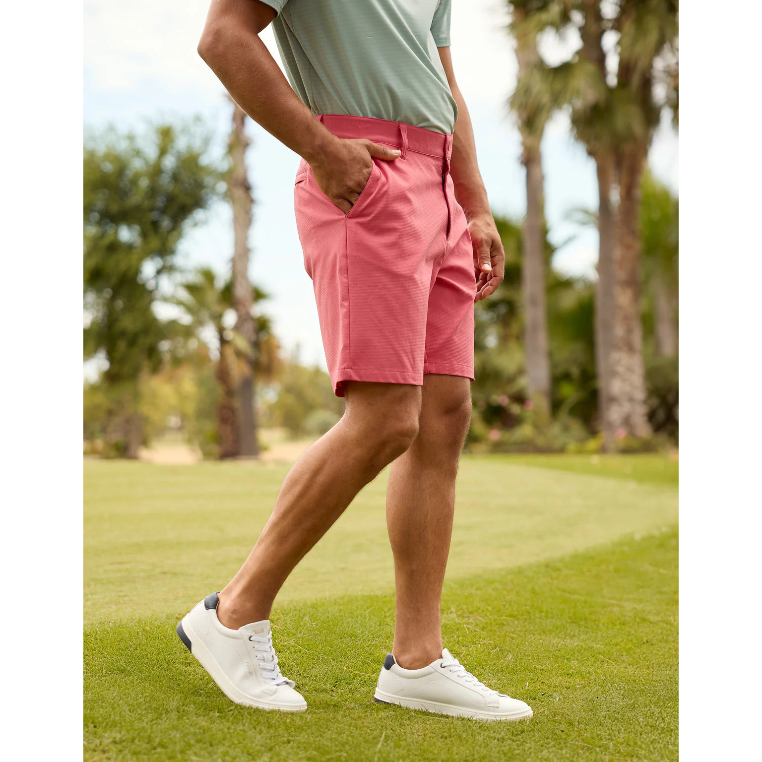 Bermuda Coral - Pantland