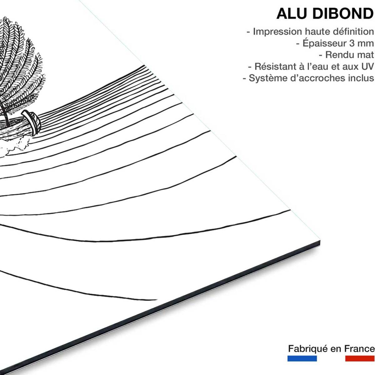Tableau voilier fougeres Tableau alu Dibond
