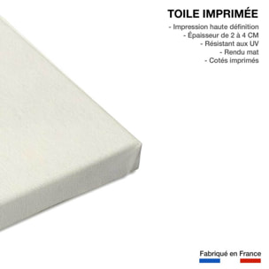 Tableau fleurs millepertuis illustré Toile imprimée