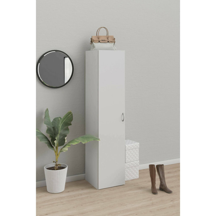 Armadio multiuso 1 anta Am, Mobile multifunzionale, Mobiletto scarpiera, Guardaroba porta scarpe, 39x41 h175 cm, Bianco