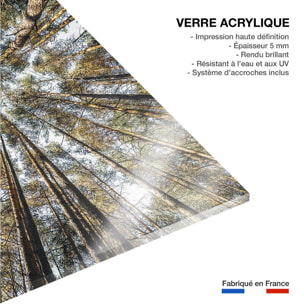 Tableau perspective des cîmes Tableau plexiglas