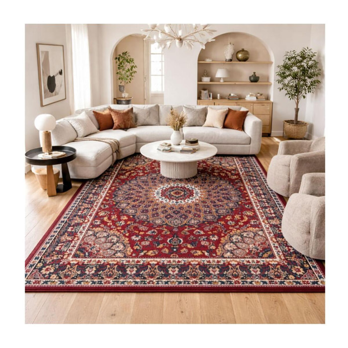 Tapis oriental tissé motif ethnique FEKU