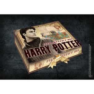 Harry Potter Replica Artefact Box Harry Potter 20 x 28 cm Noble Collection