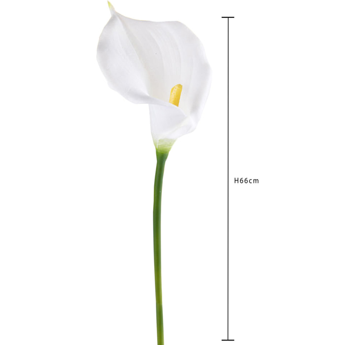 Fiore Di Callaaperta. Altezza 66 Cm - Pezzi 6 - 8X66X8cm - Colore: Bianco - Bianchi Dino - Fiori Artificiali