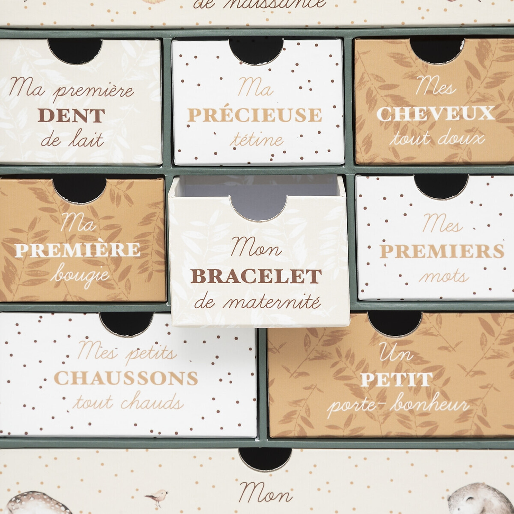 Caja de la casa del bosque