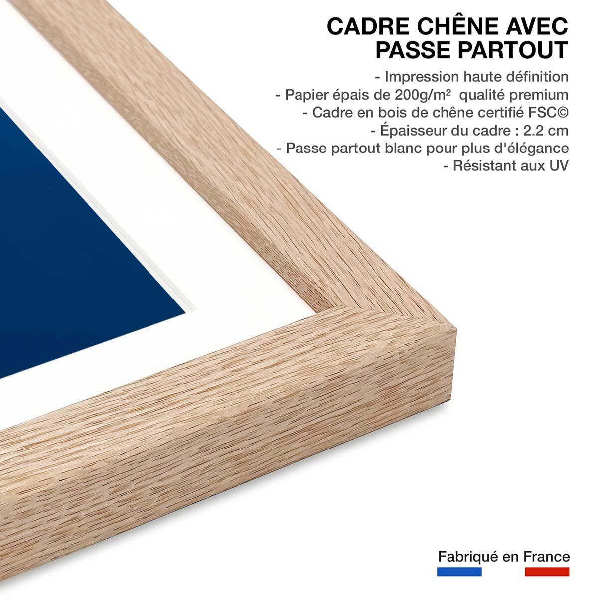 Affiche Requin baleine Affiche sous cadre bois