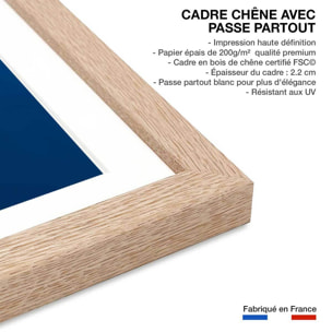 Affiche Requin baleine Affiche sous cadre bois