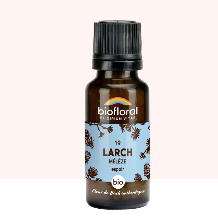Biofloral - 19 Larch, Mélèze - Bio - 19,5 gr