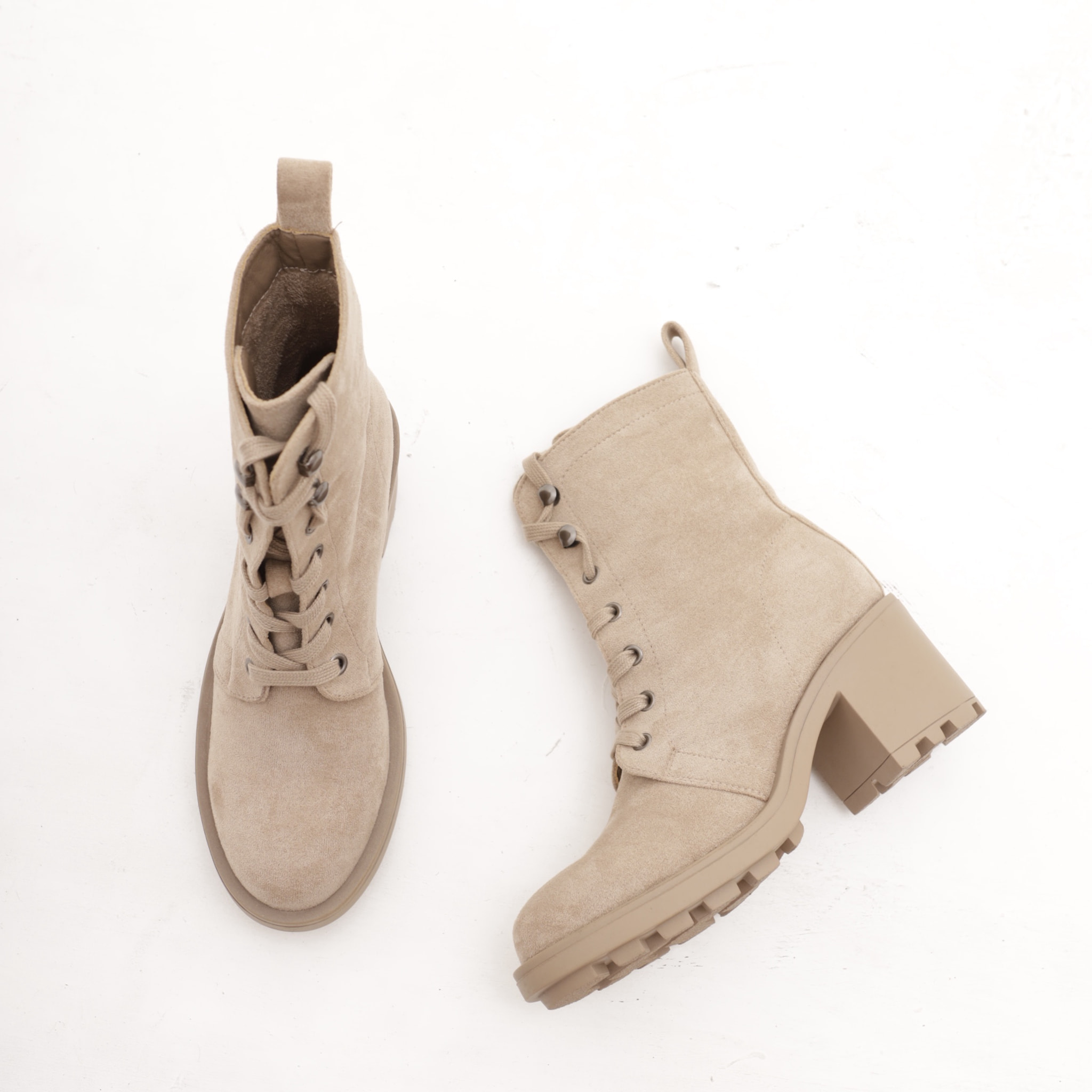 ANFIBIO CON TACCO TORTORA