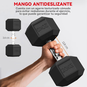 Mancuerna Hexagonal 20 kg de Hierro Fundido, Pesas de Metal Recubiertas de Goma, con Mango Moleteado, para Entrenamiento en Casa, Gimnasio, y Oficina, Negro y Plata