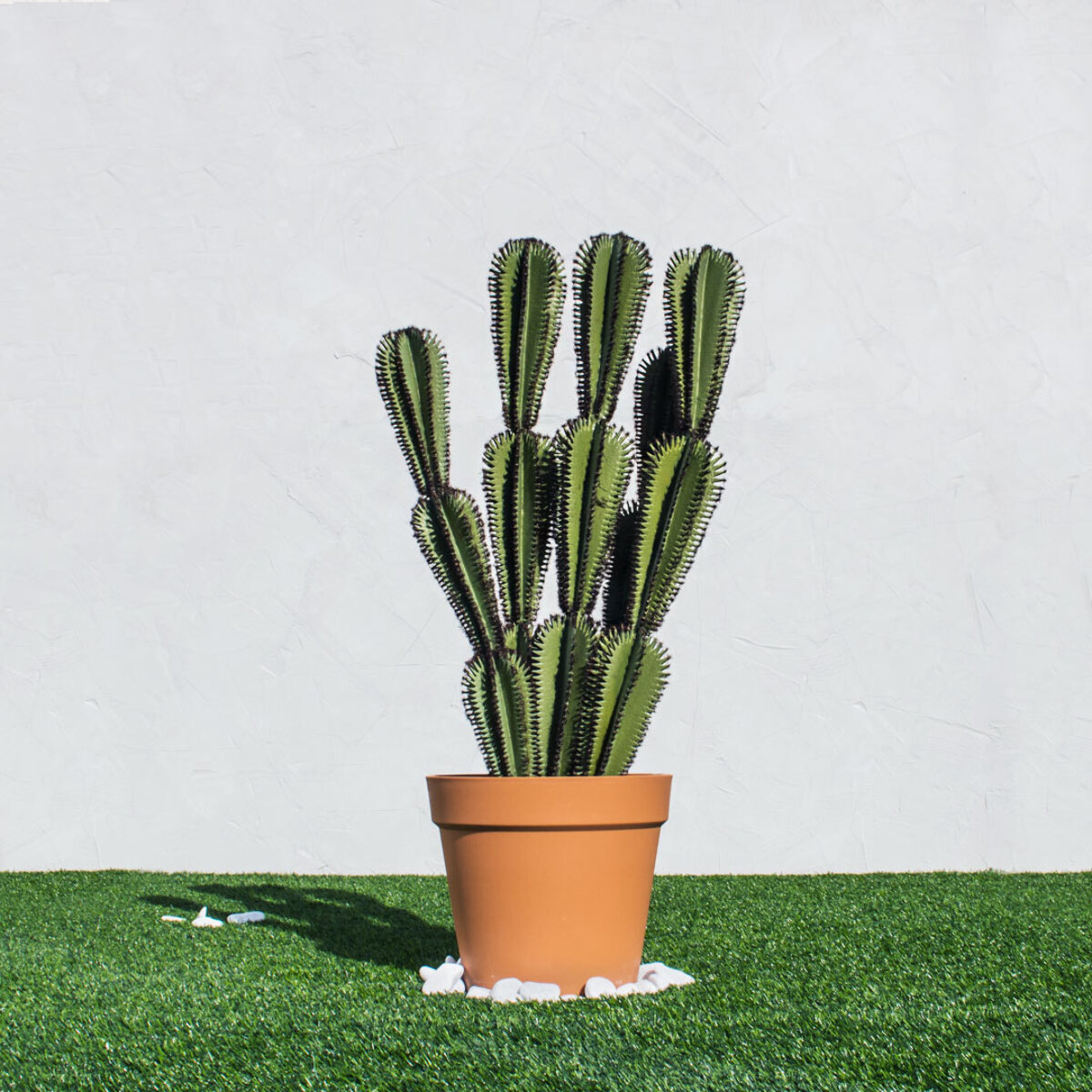 Cactus Artificial Euphorbia Suzannae 90 Cm