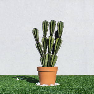 Cactus Artificial Euphorbia Suzannae 90 Cm