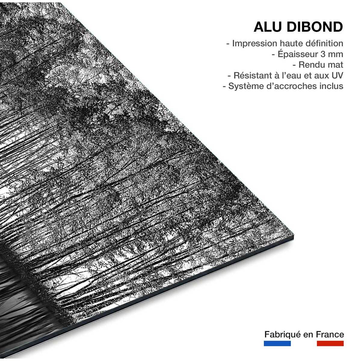 Tableau nature pointillisme Tableau alu Dibond