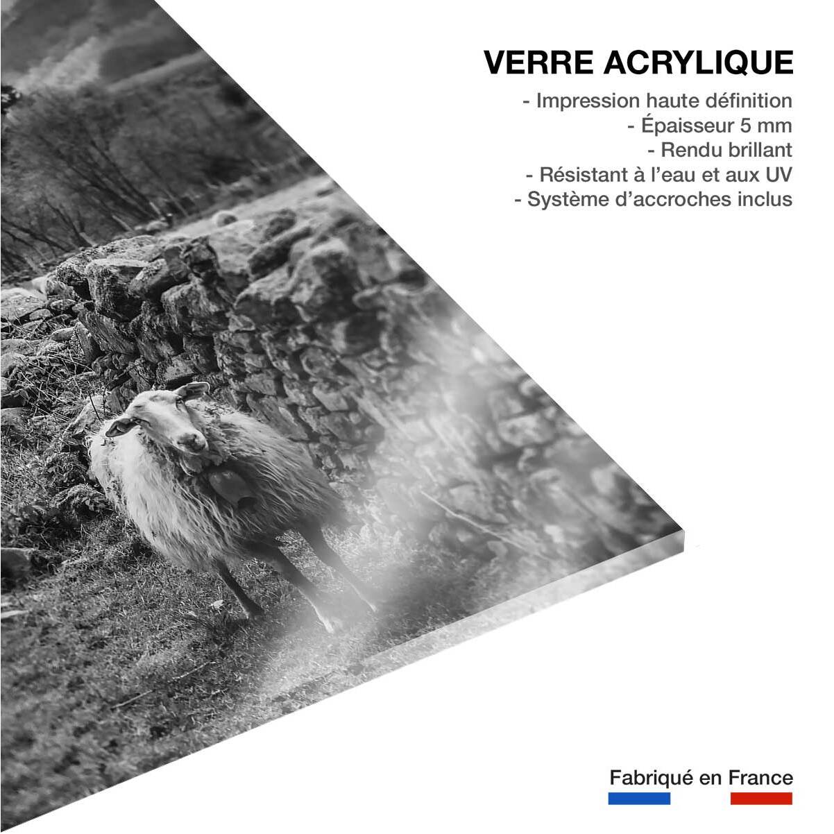 Tableau noir et blanc deco brebis Tableau plexiglas