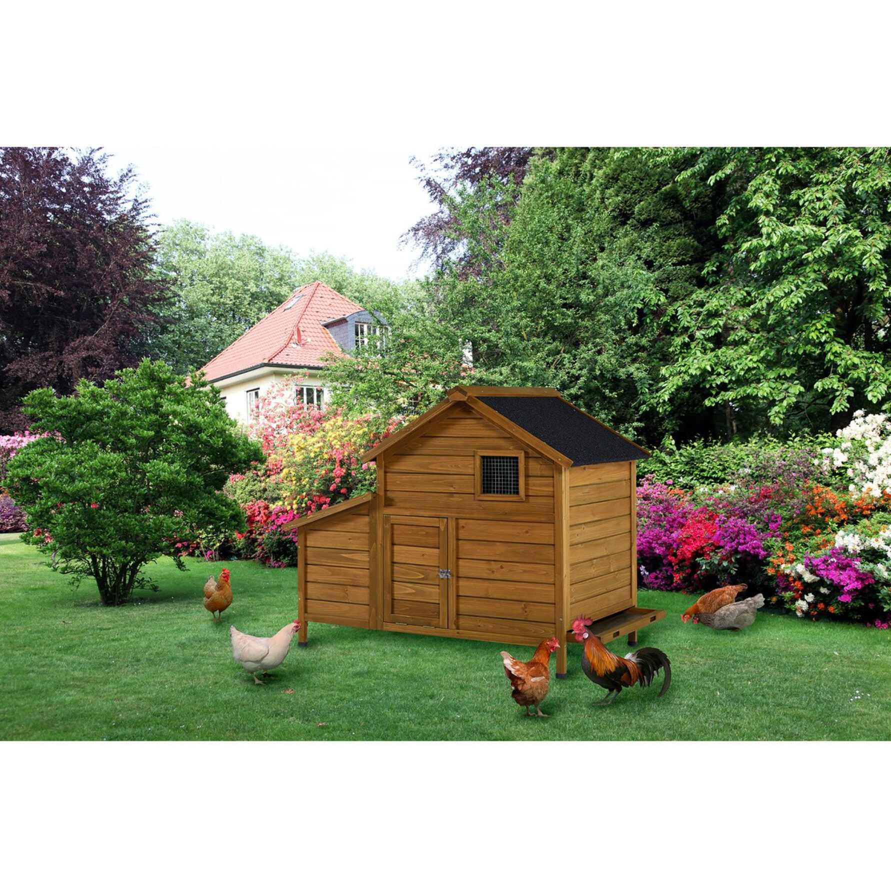 Poulailler avec pondoir en bois "Cocotte" - Marron