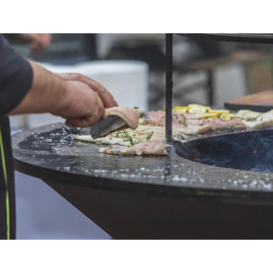 Barbacoa con placa de acero de 100 cm EFP56CO PURLINE  W