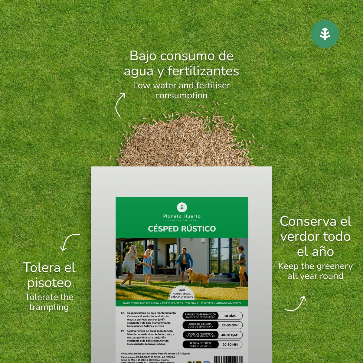 Semillas Césped Rústico Planeta Huerto 1 kg