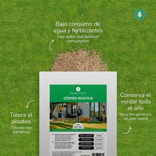 Semillas Césped Rústico Planeta Huerto 1 kg