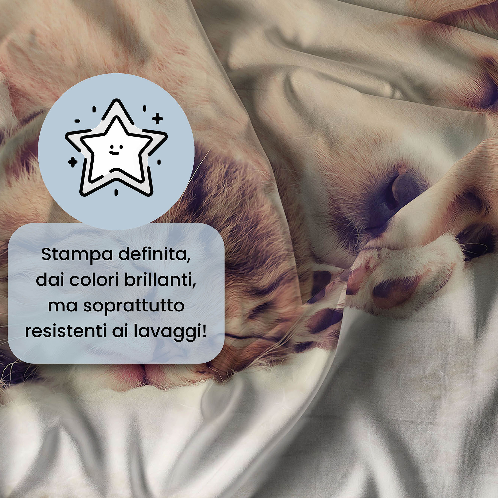 PARURE COPRIPIUMINO GOODNIGHT - STAMPA DIGITALE 100% Microfibra